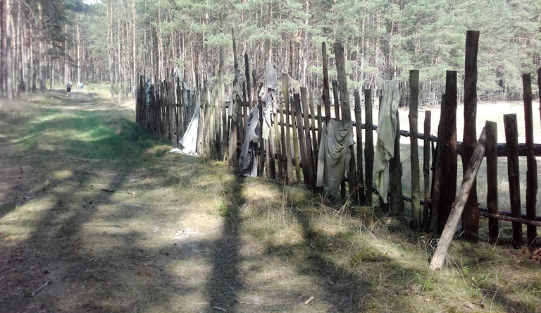 Im Wald vor Suchobrzeznica