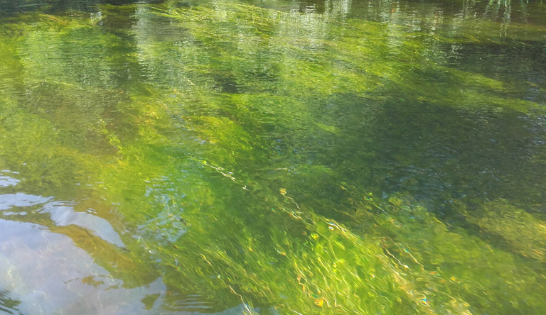 Farbe und Fluss: die Wda