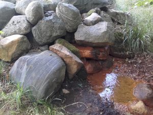 Der artesische Brunnen von Klein Briesen, 18.8.2018