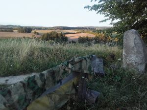 ...da steht ein Lindenbaum