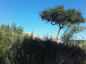 Hügel, die mehr als Landschaft sind 