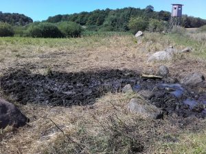 Meliorationsmanie oder hydrologische Sanierung?