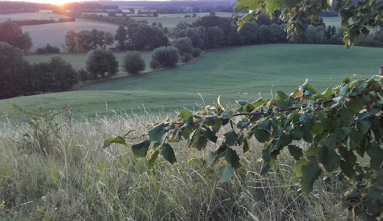 Sonnenaufgang. Copyright K.G.Brandler