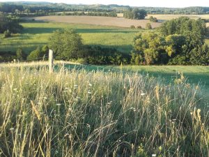 Hecken, Gehölze, Offenland und vielleicht Drumlins in der Ferne