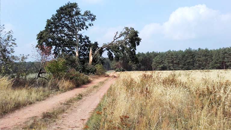 Eindeutig von Pflügkuff zum Krähenrummel, © K.G.Brandler