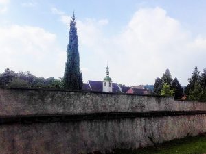 Kloster Marienthal hinter der Mauer