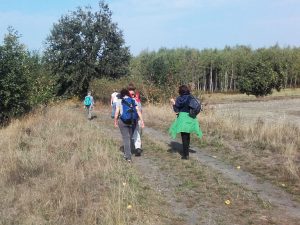 Obstschwemme am Wege