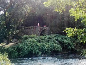 Polnisches Ufer der Neiße vor Marienthal