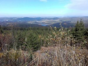 Blick vom Auersberg