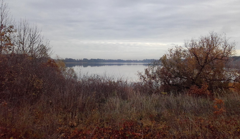 Endlich: der Ruppiner See schimmert durch die Bäume, der Radweg zieht sich jedoch noch ewig hin