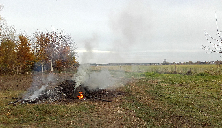 Herbstfeuer