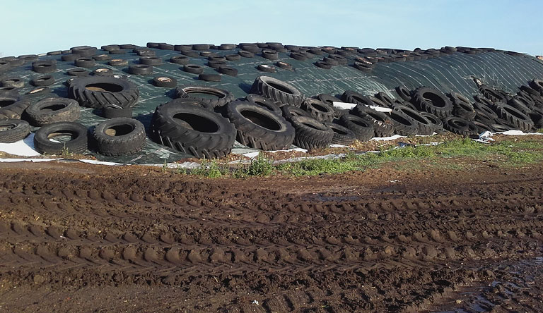 Landwirtschaft Rietz