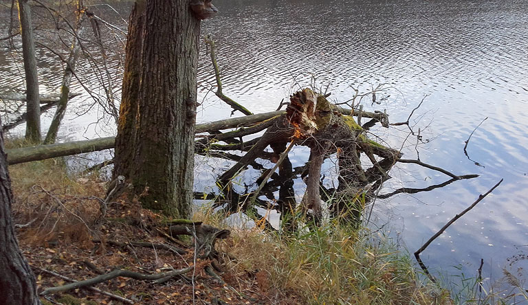 Petersdorfer Gespensterwasser