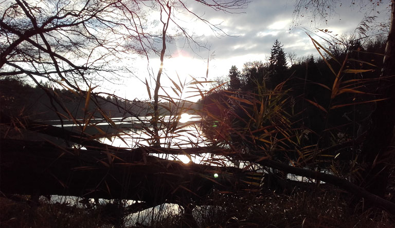 Petersdorfer See vor Sonnenuntergang