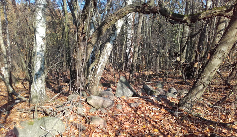 Die Steine im Wald - langweilend für die einen...