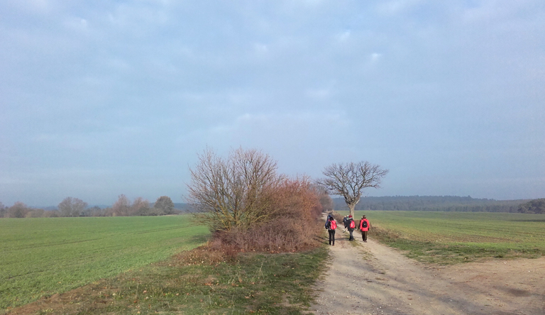 Wandern im Fläming