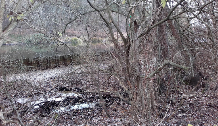 Suhlen am Kanalauenweg Teltowkanal