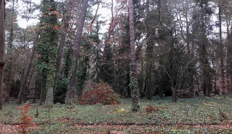 Wilmersdorfer Waldfriedhof, vom Gartenarchitekten Erwin Barth angelegt