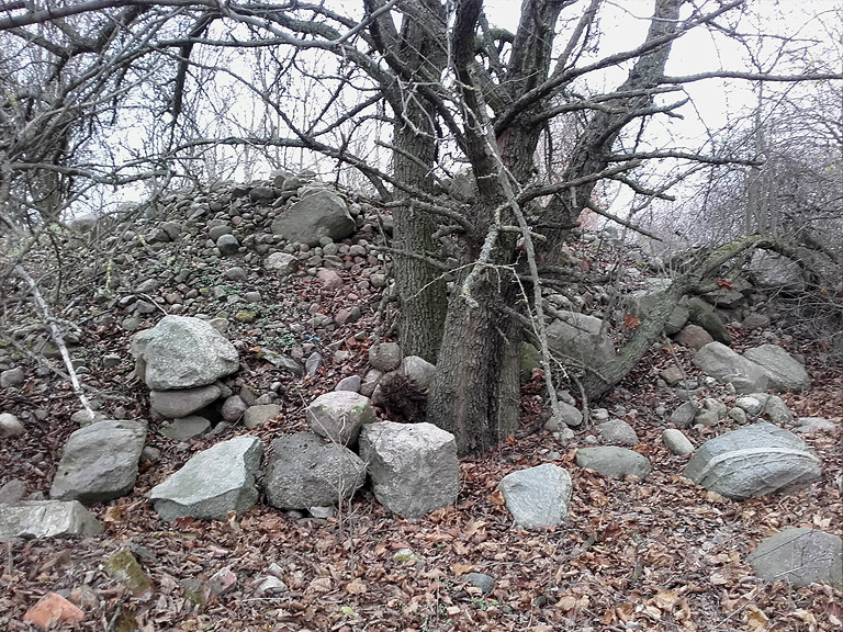 Mini-Naturschutzgebiet