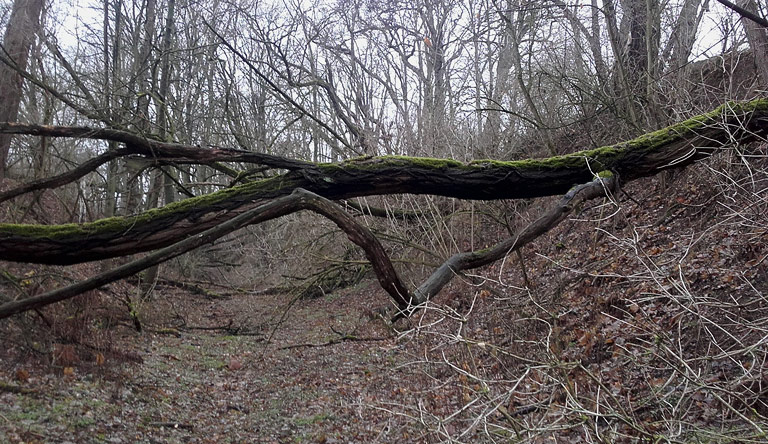 Die Kieten bei Belzig