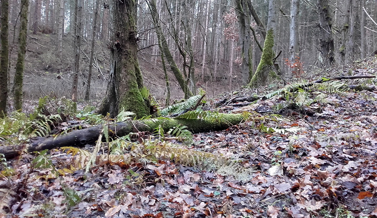 Naturpark Märkische Schweiz