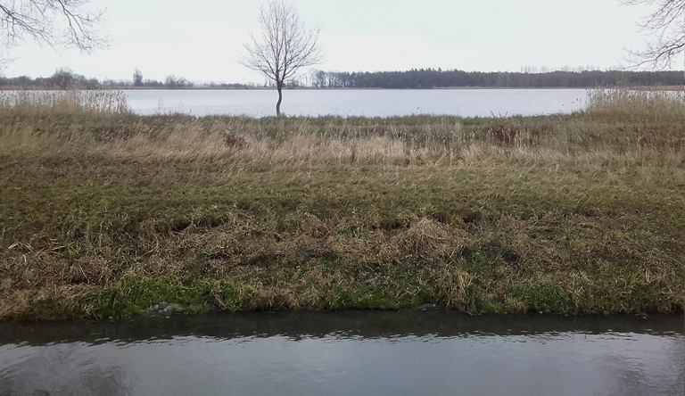 Totale Langeweile im Oderbruch