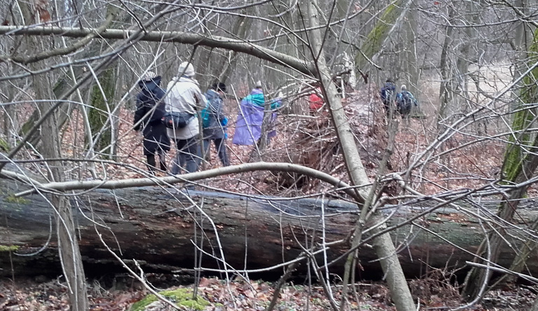 Von der Seenkette hoch nach Karlsdorf