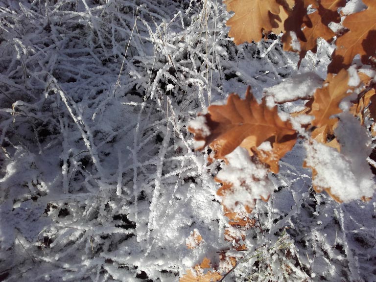 Schnee in Medewitz. Copyright K.G.Brandler