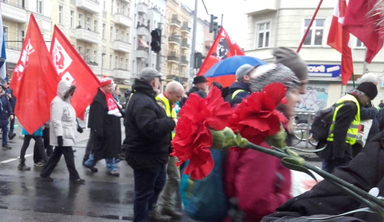 Berlin, Demo, 100. Todestag von Rosa Luxemburg und Karl Liebknecht: rote Nelken