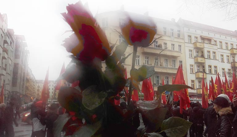 Berlin, Demo, Rosen für Rosa Luxemburg und Karl Liebknecht