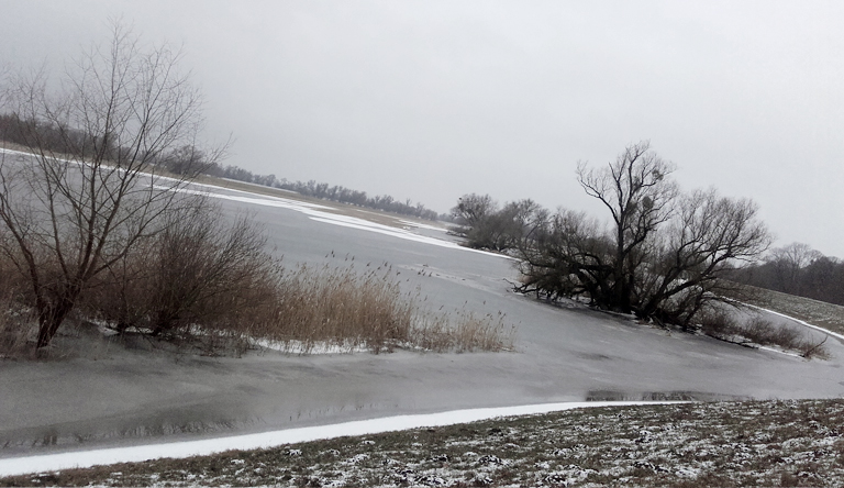 Unteres Odertal bei Criewen