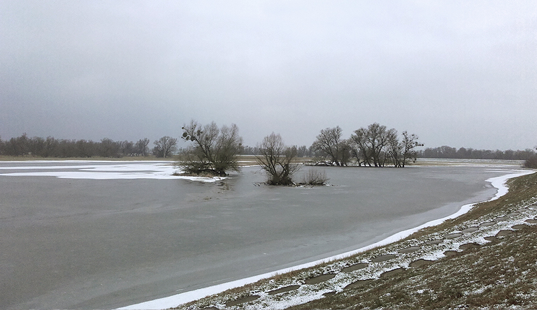 Unteres Odertal bei Criewen