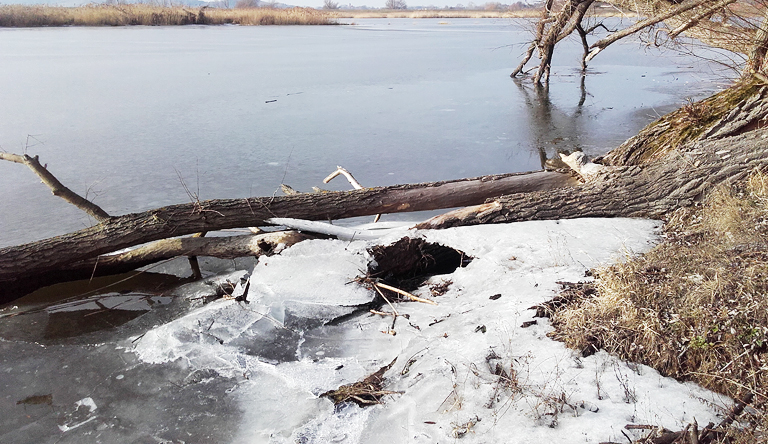 Letzte Schneereste an der Odra