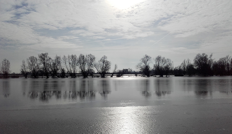 Oder / Odra: Silberwasser