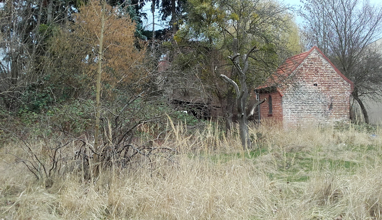 Angermünde, jüdischer Friedhof, 04.03.2019