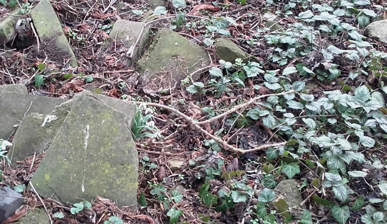 Angermünde, jüdischer Friedhof, 04.03.2019