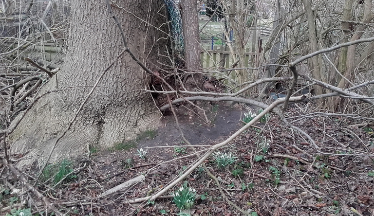 Angermünde, jüdischer Friedhof, 04.03.2019