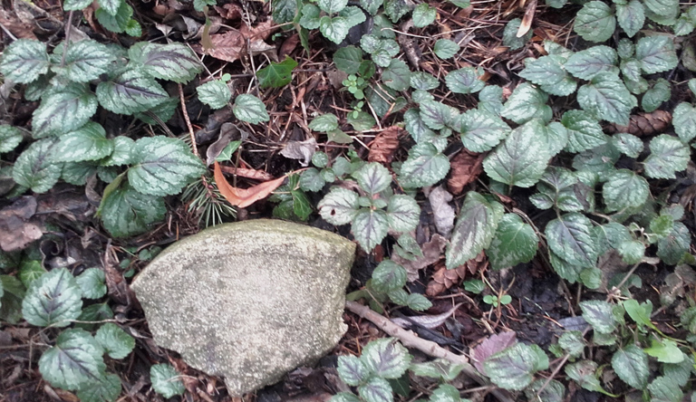 Angermünde, jüdischer Friedhof, 04.03.2019