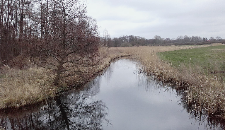 zum Kremmener See