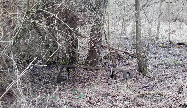 Kremmen, versunken im Sumpf