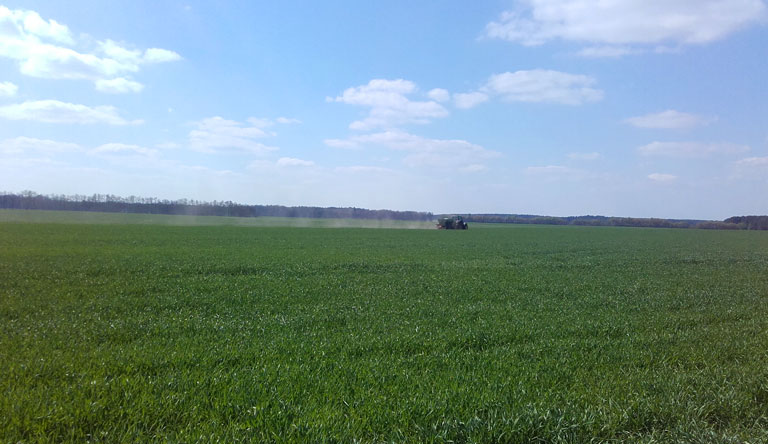 Glyphosat? bei Ahrensdorf