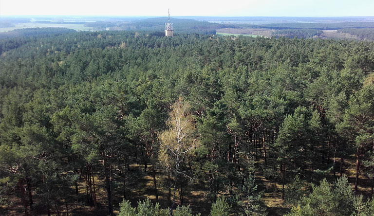 Löwendorfer Berg mit Funkanlage