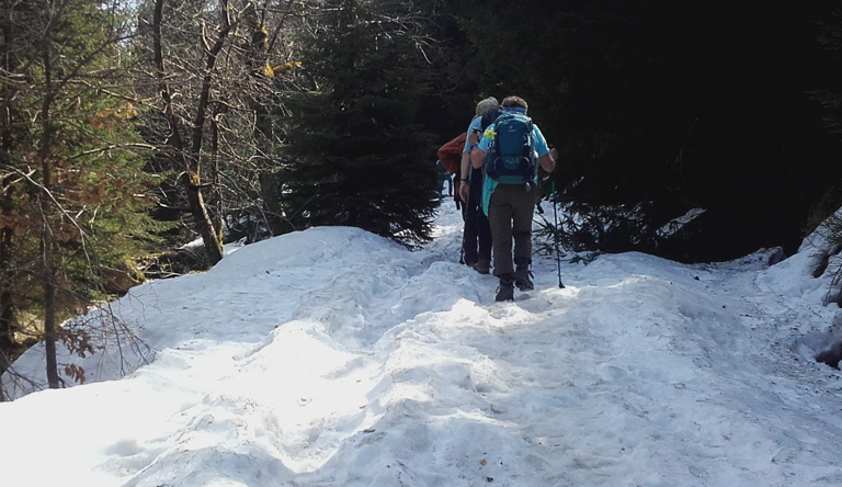 Gänsemarsch im Schnee