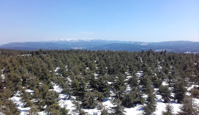 Blick vom Smrk Richtung Riesengebirge