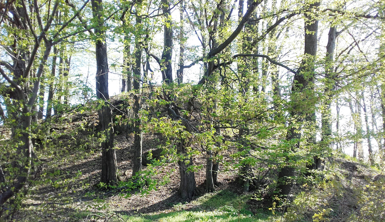 Hügel im Isergebirgsvorland, vielleicht einst eine Motte