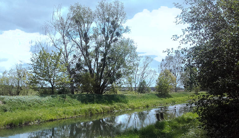 Zwischen Graben und Nuthe