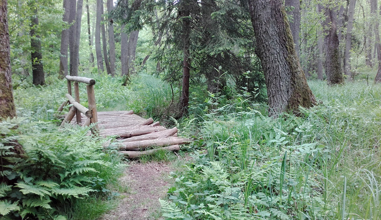 Brücke auf dem Rundwanderweg Hegensteinbach