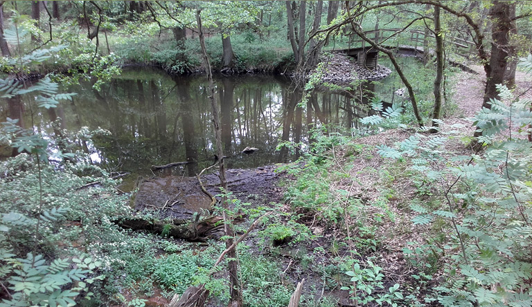 Hegemeisterbrücke