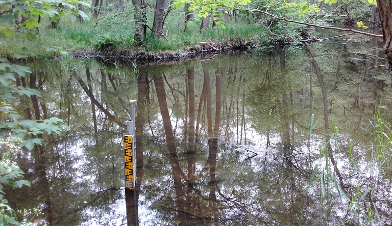 Wasserstand Hegemeisterbrücke