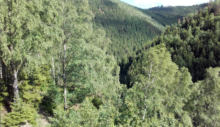 Blick ins Okertal